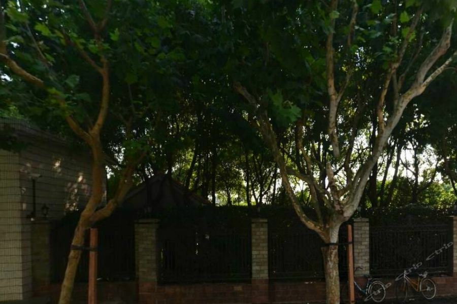 Green Court Residence Jinqiao Diamond שנגחאי מראה חיצוני תמונה